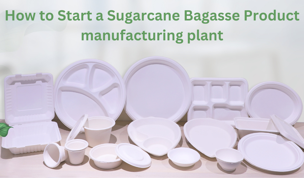 How to Start a Sugarcane Bagasse Product manufacturing plant